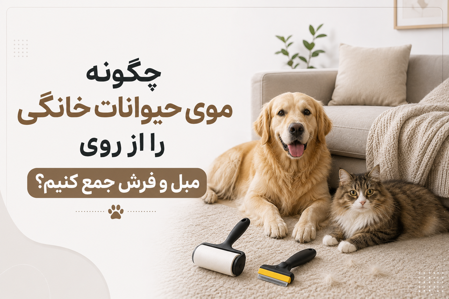 چگونه موی حیوانات خانگی را از روی مبل و فرش جمع کنیم؟